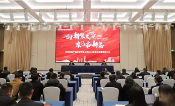 宜发展产城公司召开2024年度总结暨表彰大会