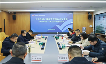 宜发展产城公司安委会召开2025年第一次全体成员会议